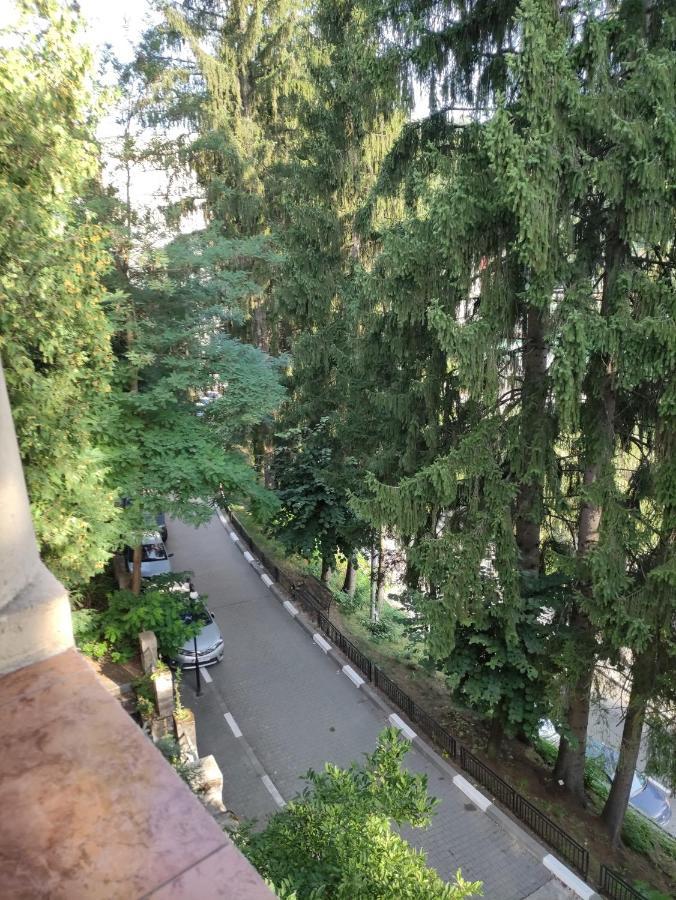 فيلا Casa Rosa Băile Olăneşti المظهر الخارجي الصورة