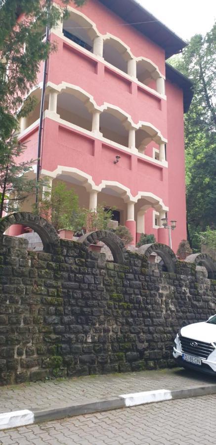 فيلا Casa Rosa Băile Olăneşti المظهر الخارجي الصورة