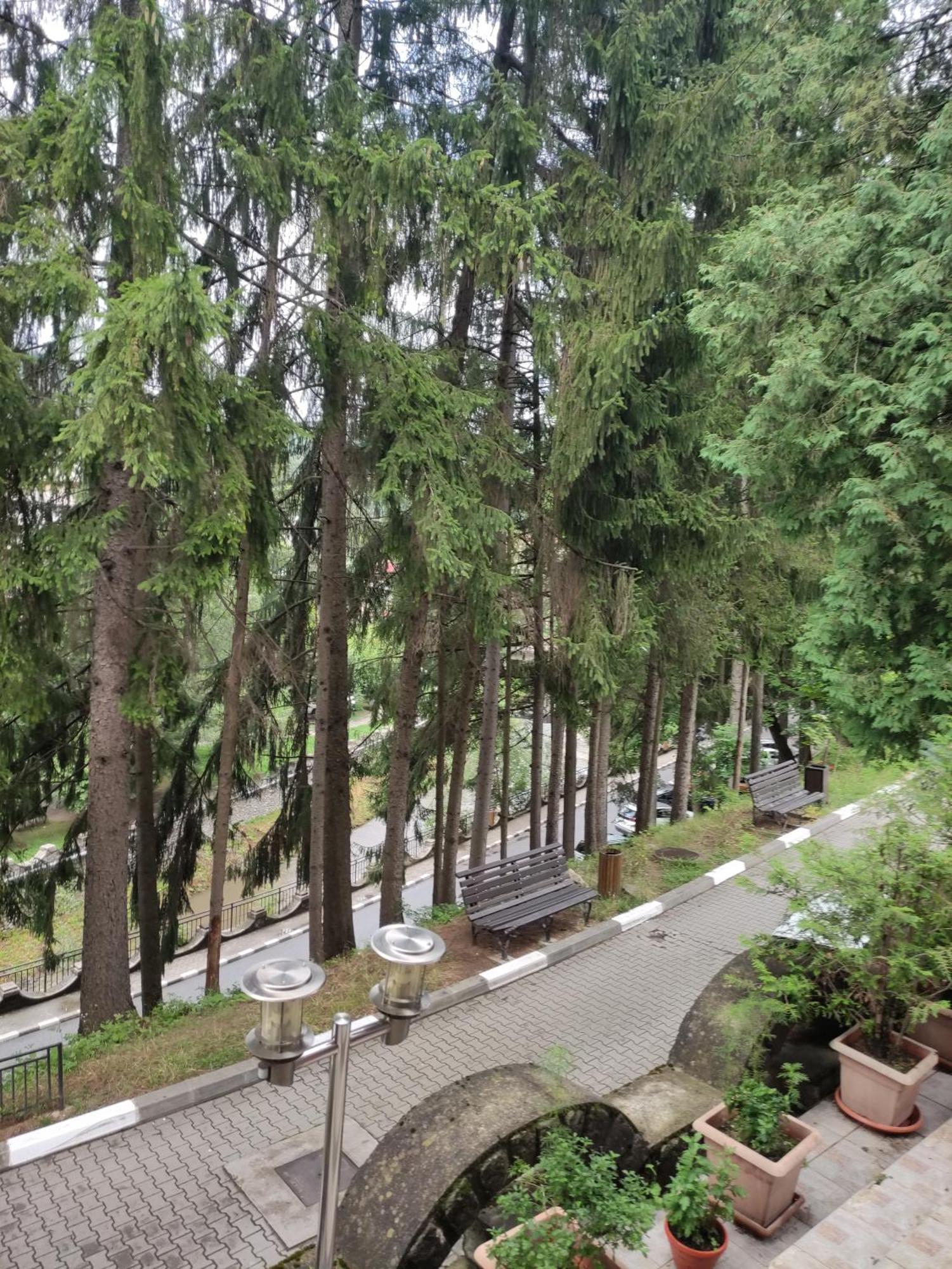 فيلا Casa Rosa Băile Olăneşti المظهر الخارجي الصورة